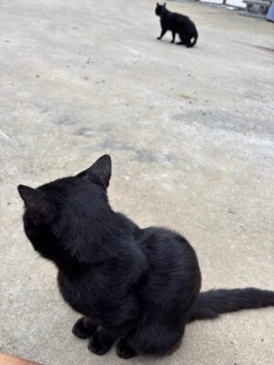 IMG_5719.jpeg
