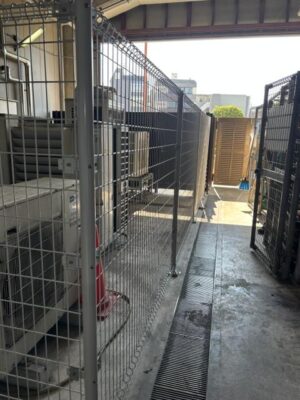 IMG_6008.jpeg
